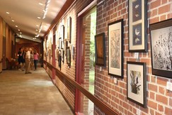 Meadowlakes-senior-art-show_crop